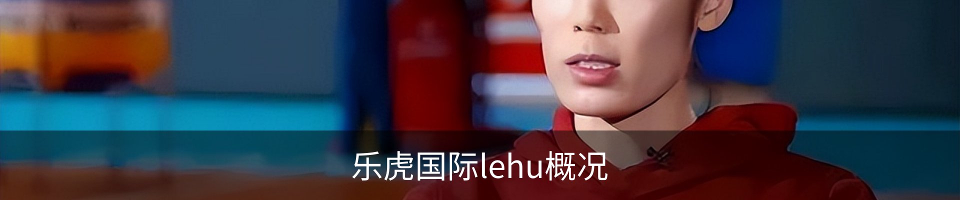 乐虎国际lehu概况